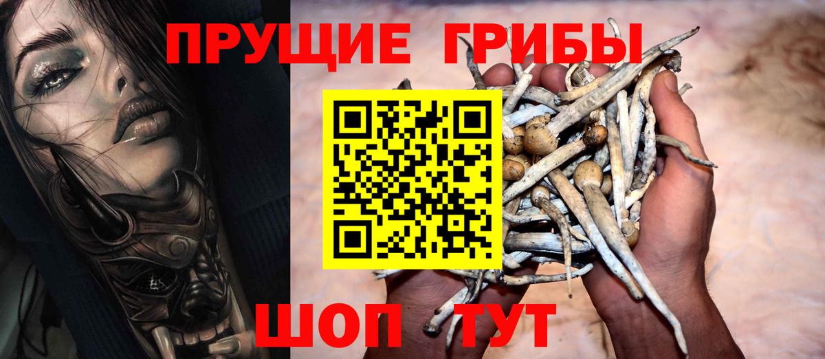 Псилоцибиновые грибы прущие грибы  Вход с VPN  Орехово-Зуево  Галлюциногенные грибы MAGIC MUSHROOMS 